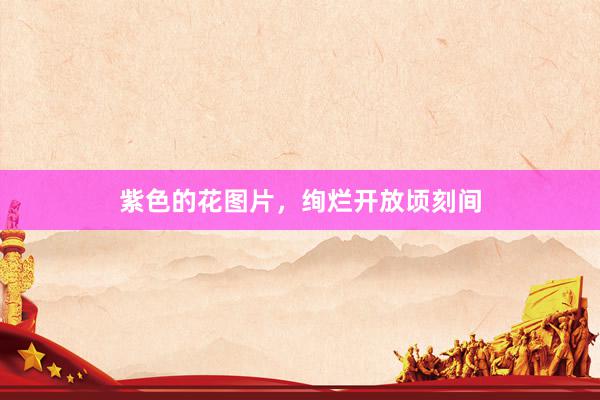 紫色的花图片，绚烂开放顷刻间